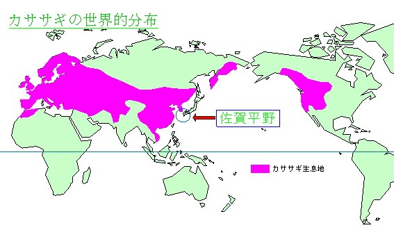 カササギ分布図