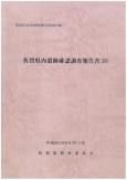 県内遺跡確認調査報告書30