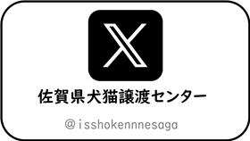 Xリンク