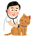 猫と獣医