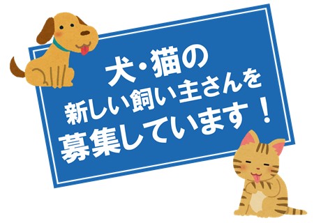 犬猫の新しい飼い主さんを募集しています