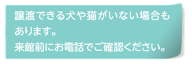 譲渡対象の犬猫がいない時がありますのでお電話ください