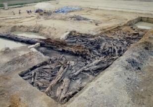 八藤丘陵の阿蘇4火砕流堆積物及び埋没林