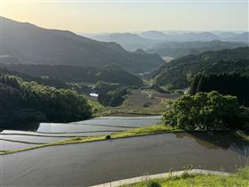 棚田