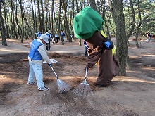 虹の松原保全活動・松葉かき作業