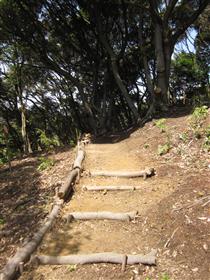 整備された遊歩道