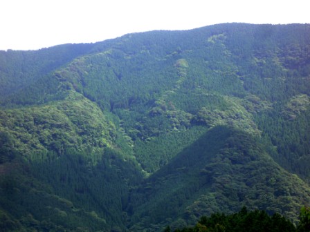 公有林化された山麓(太良町)