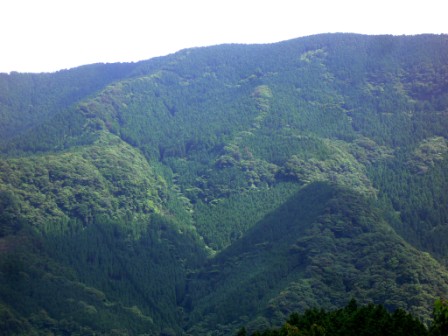 公有林化された山麓（太良町）