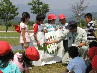 写真：小学生を対象とした樹木学習