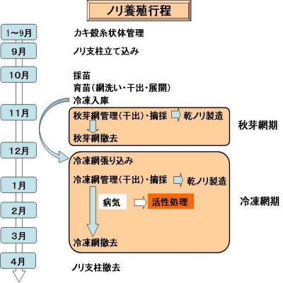 ノリ養殖の行程