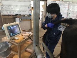 経腟採卵を用いた試験への取組
