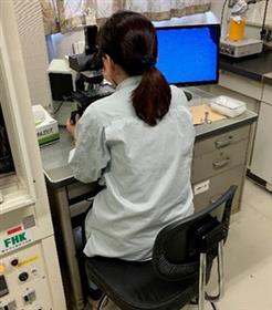 精液性状検査