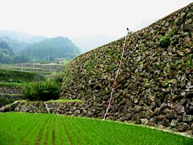 蕨野地区の棚田の写真