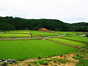 志気地区の棚田の写真