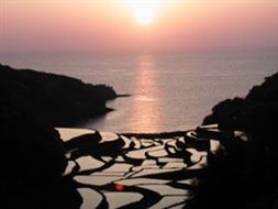 浜野浦地区の棚田の写真