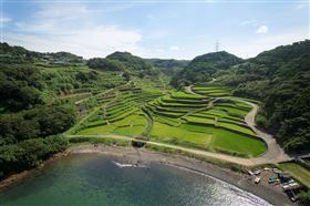 浜野浦の棚田