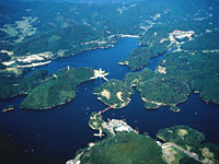 21世紀県民の森の空中写真