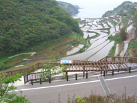 展望台の先に広がる棚田の絶景写真