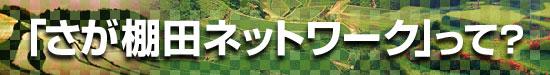 「さが棚田ネットワーク」って？のヘッダ画像