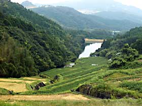 白木地区の棚田の風景写真