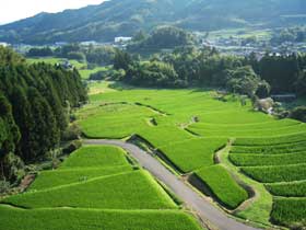 坂本地区の棚田の風景写真