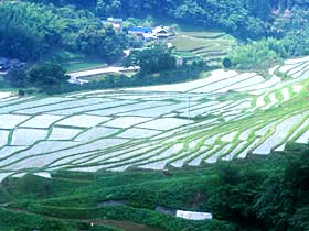 天ヶ瀬地区（鎧田）の棚田の風景写真