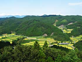 池原地区の棚田の写真