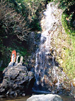 清水の滝の写真