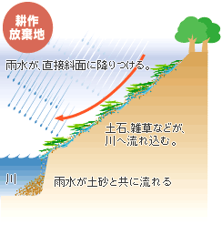 耕作放棄地のイラスト。雨水が直接斜面に降りつけ、土砂とともに流れていく