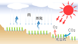 棚田によって水や空気がきれいになることを示すイラスト