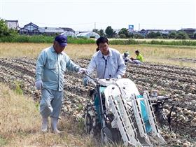 玉葱収穫機