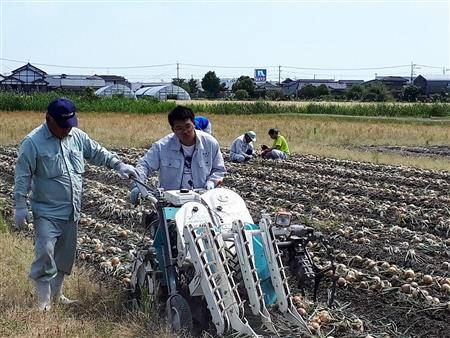 露地野菜専攻