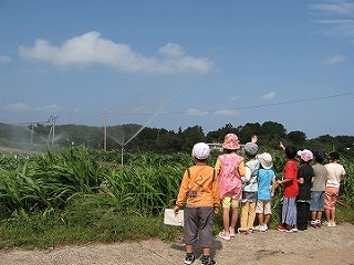 写真：スプリンクラーによるかん水の様子を見学