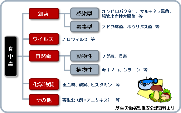 分類図