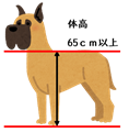 特定犬のサイズ