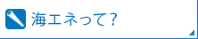 海エネって？