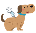 予防接種を受ける犬
