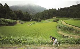 桑原