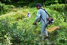 棚田畦畔の草刈り作業（蕨野棚田地域住民と株式会社トップコンサルタント及び株式会社精工コンサルタント会社員）