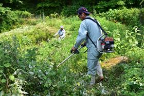 棚田畦畔の草刈り作業（蕨野棚田地域住民と株式会社トップコンサルタント及び株式会社精工コンサルタント会社員）