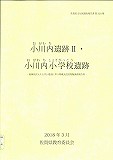 小川地遺跡の報告書