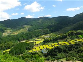 蕨野の棚田（唐津市相知町）