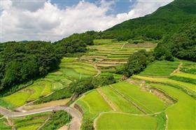 川内の棚田（武雄市若木町）