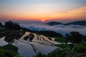 岳の棚田(有田町)