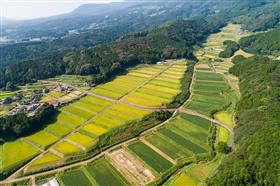 炭山の棚田(伊万里市二里町)