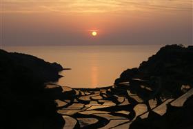 浜野浦の棚田(玄海町)