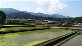 下内野の棚田