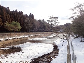 積雪の樫原湿原
