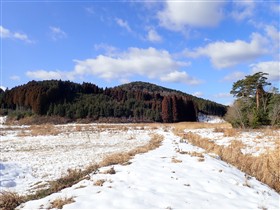 積雪の樫原湿原2