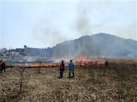 野焼きの様子